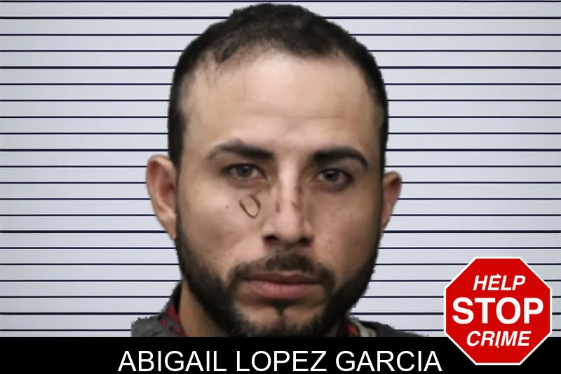 Abigail Lopez Garcia mugshot – Forsyth County , Georgia Abigail Lopez Garcia mugshot
