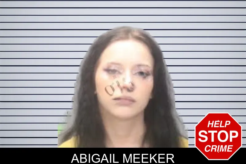Abigail Meeker mugshot