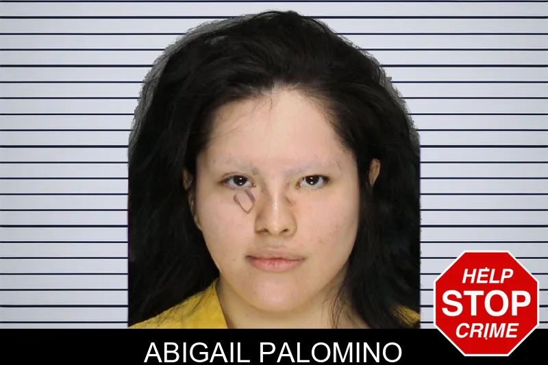 Abigail Palomino mugshot