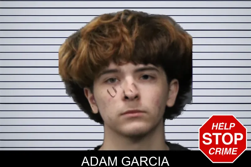 Adam Garcia mugshot – Forsyth County , Georgia Adam Garcia mugshot