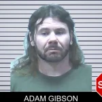 Adam Gibson mugshot – Jackson County , Georgia Adam Gibson mugshot