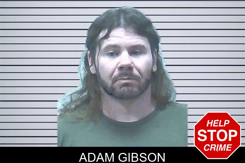Adam Gibson mugshot