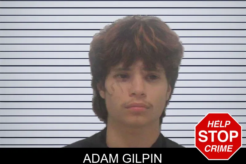 Adam Gilpin mugshot – Carroll County , Georgia Adam Gilpin mugshot