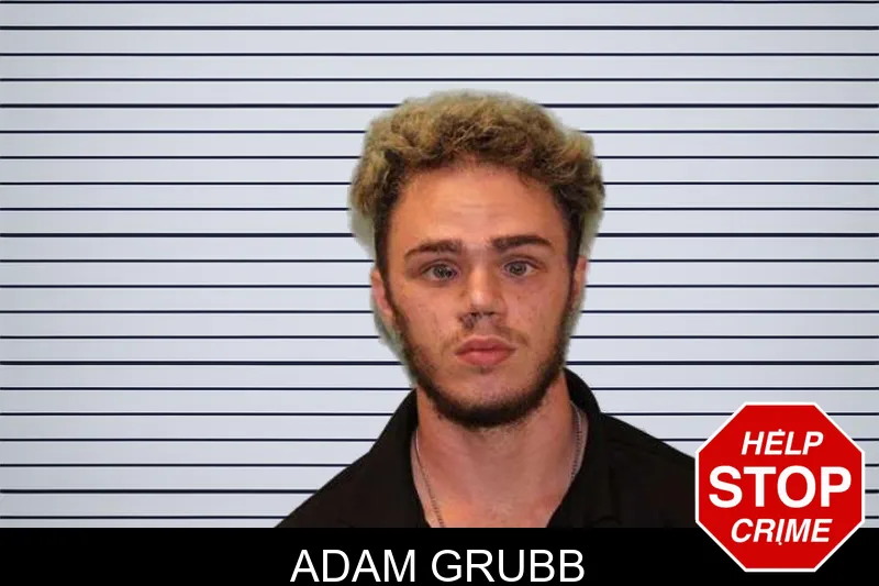 Adam Grubb mugshot