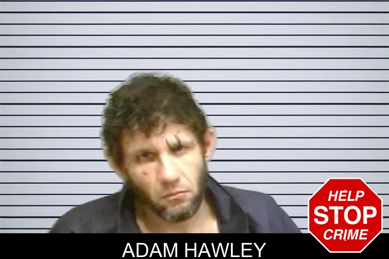 Adam Hawley mugshot