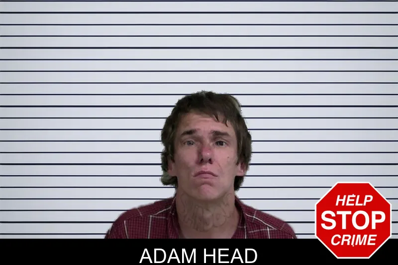 Adam Head mugshot – Wayne County , Georgia Adam Head mugshot