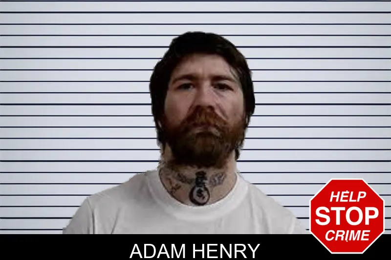 Adam Henry mugshot – Decatur County , Georgia Adam Henry mugshot