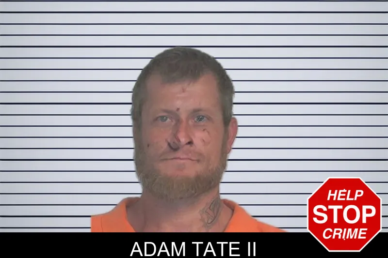 Adam Tate II mugshot