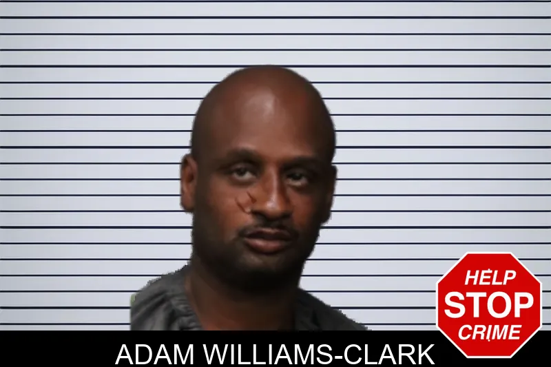 Adam Williams-Clark mugshot – Forsyth County , Georgia Adam Williams-Clark mugshot