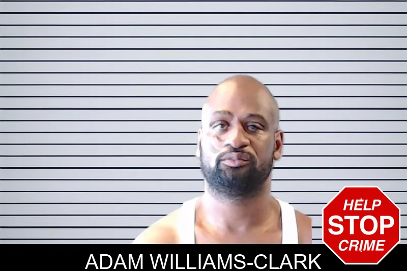 Adam Williams-Clark mugshot – DeKalb County , Georgia Adam Williams-Clark mugshot