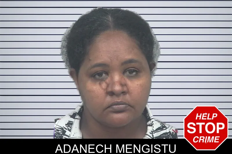 Adanech Mengistu mugshot – Gwinnett County , Georgia Adanech Mengistu mugshot