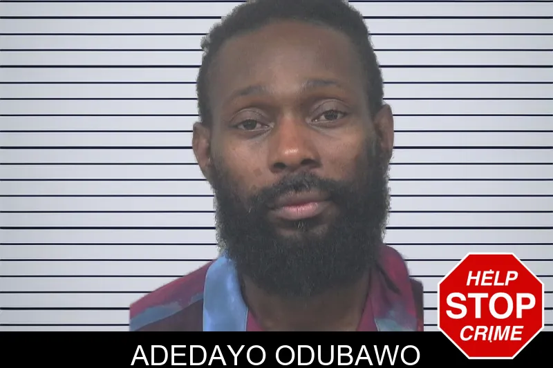 Adedayo Odubawo mugshot