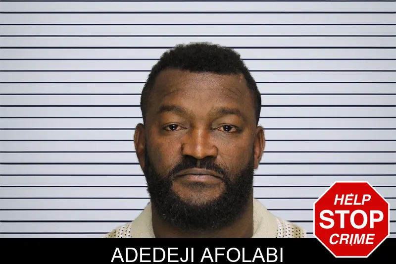 Adedeji Afolabi mugshot