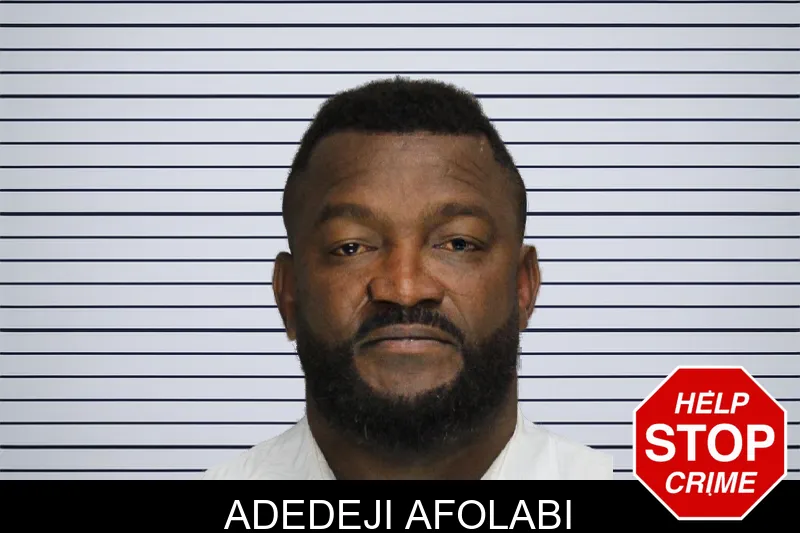 Adedeji Afolabi mugshot – Cobb County , Georgia Adedeji Afolabi mugshot