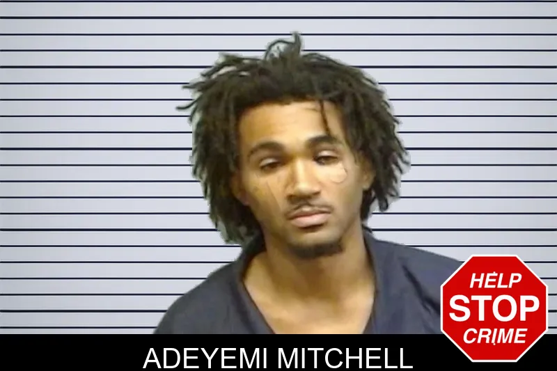 Adeyemi Mitchell mugshot – Fulton County , Georgia Adeyemi Mitchell mugshot