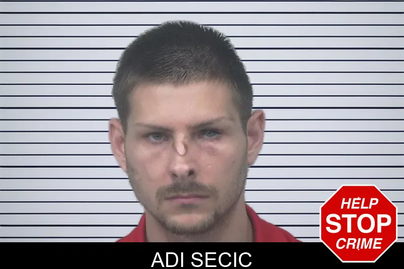 Adi Secic mugshot – Gwinnett County , Georgia Adi Secic mugshot