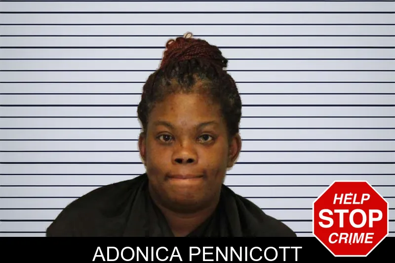 Adonica Pennicott mugshot – Carroll County , Georgia Adonica Pennicott mugshot