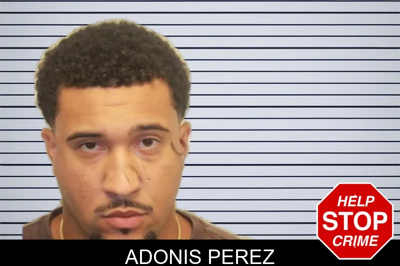 Adonis Perez mugshot – Chatham County , Georgia Adonis Perez mugshot