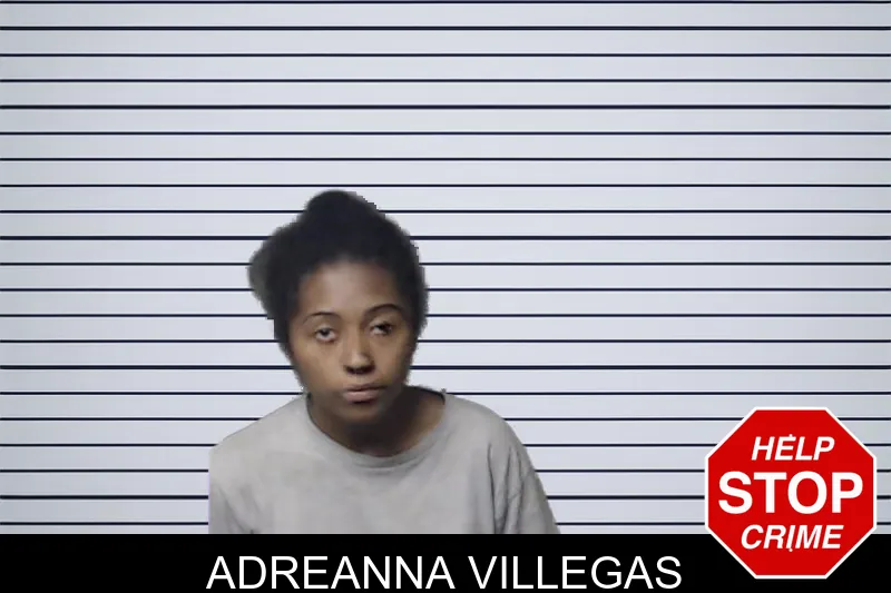 Adreanna Villegas mugshot