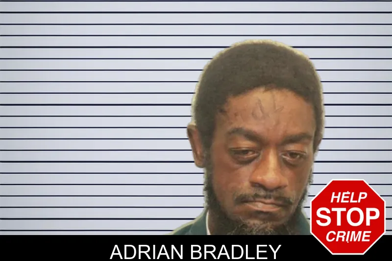 Adrian Bradley mugshot – Chatham County , Georgia Adrian Bradley mugshot