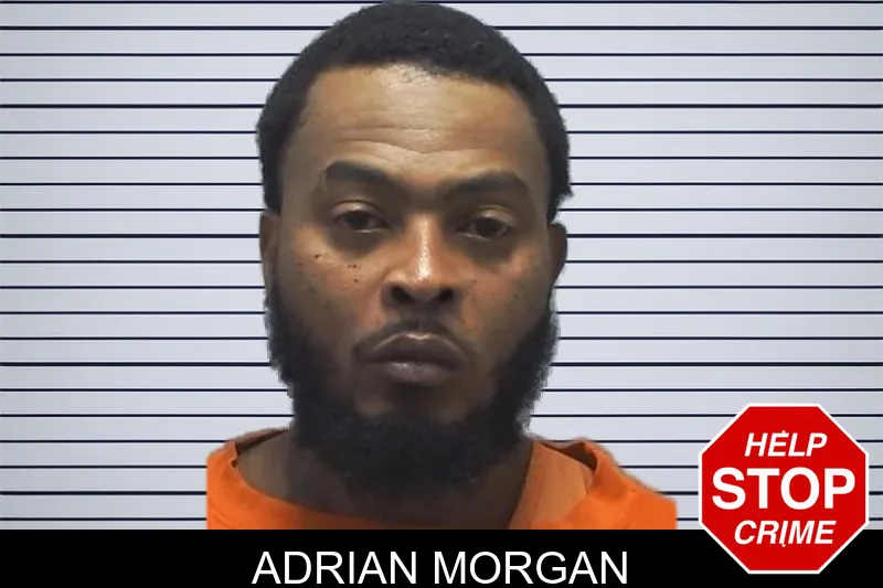 Adrian Morgan mugshot – Cherokee County , Georgia Adrian Morgan mugshot