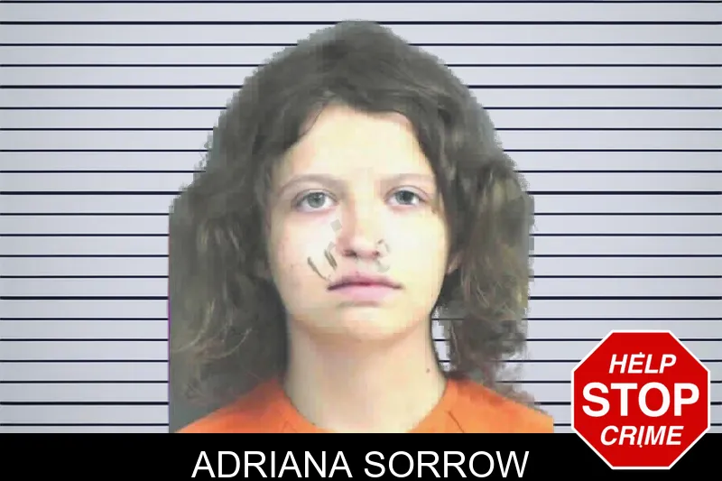 Adriana Sorrow mugshot – Mitchell County , Georgia Adriana Sorrow mugshot