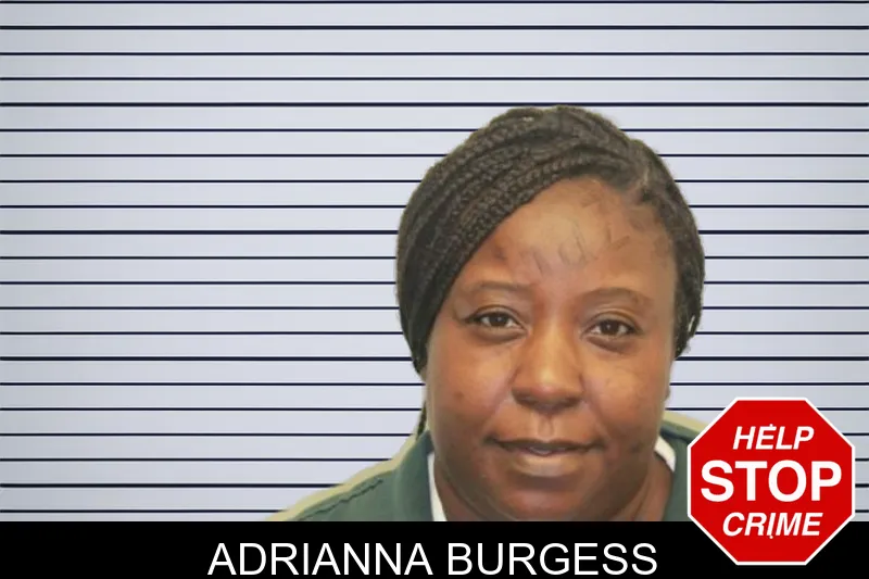 Adrianna Burgess mugshot – Chatham County , Georgia Adrianna Burgess mugshot