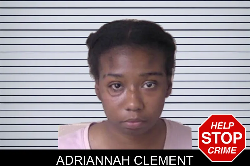 Adriannah Clement mugshot – Walker County , Georgia Adriannah Clement mugshot