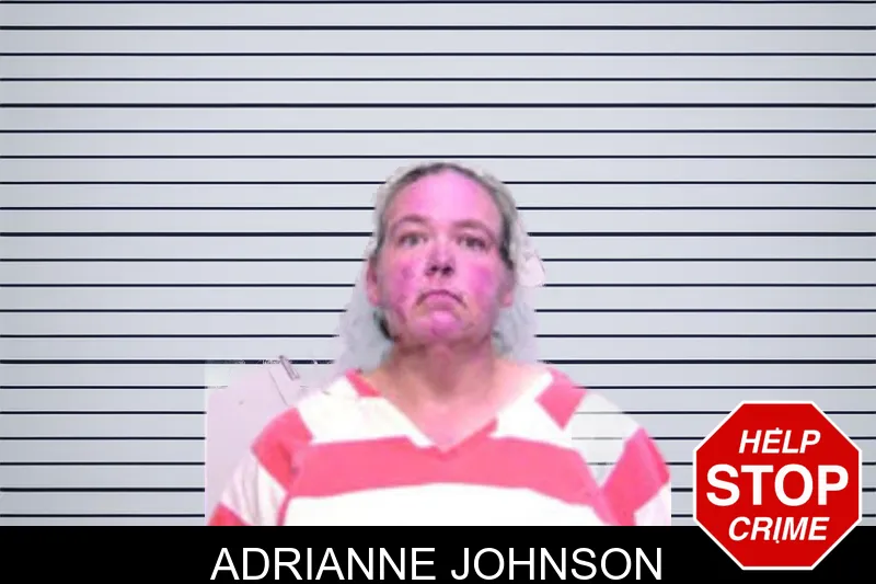 Adrianne Johnson mugshot
