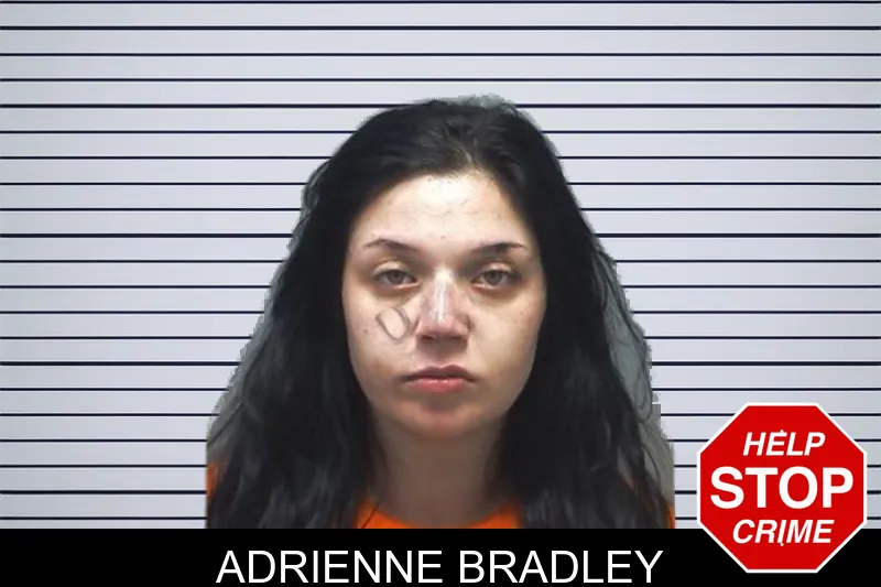 Adrienne Bradley mugshot – Cherokee County , Georgia Adrienne Bradley mugshot