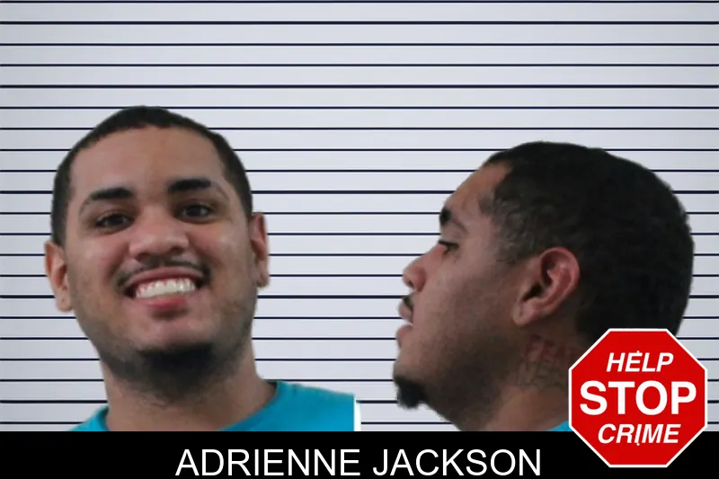 Adrienne Jackson mugshot – Houston County , Georgia Adrienne Jackson mugshot