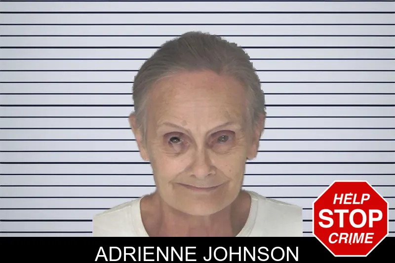 Adrienne Johnson mugshot