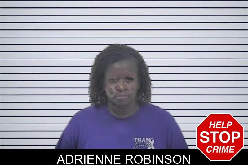 Adrienne Robinson mugshot – Coffee County , Georgia Adrienne Robinson mugshot