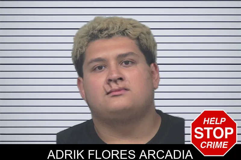 Adrik Flores Arcadia mugshot – Gwinnett County , Georgia Adrik Flores Arcadia mugshot