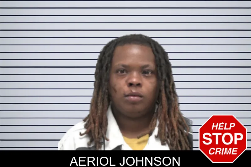 Aeriol Johnson mugshot