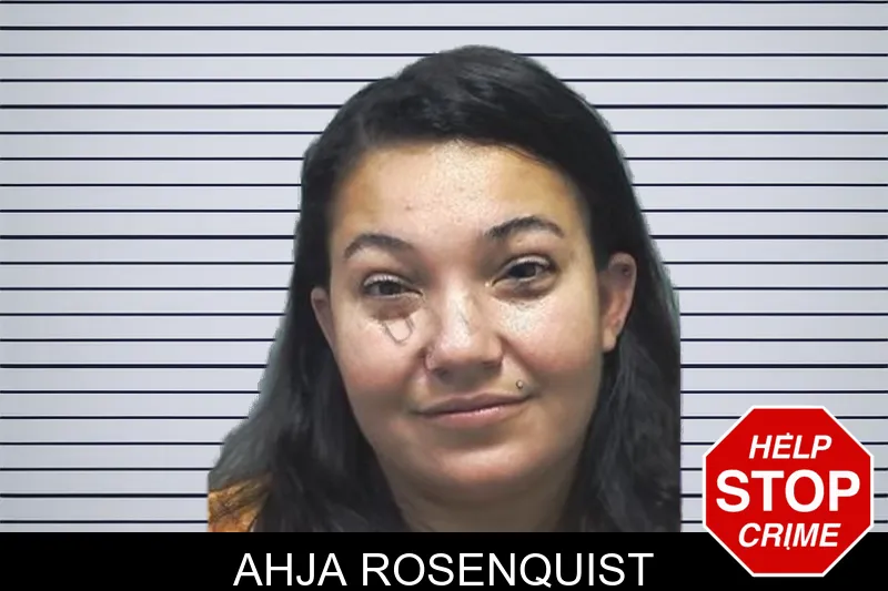Ahja Rosenquist mugshot – Cherokee County , Georgia Ahja Rosenquist mugshot