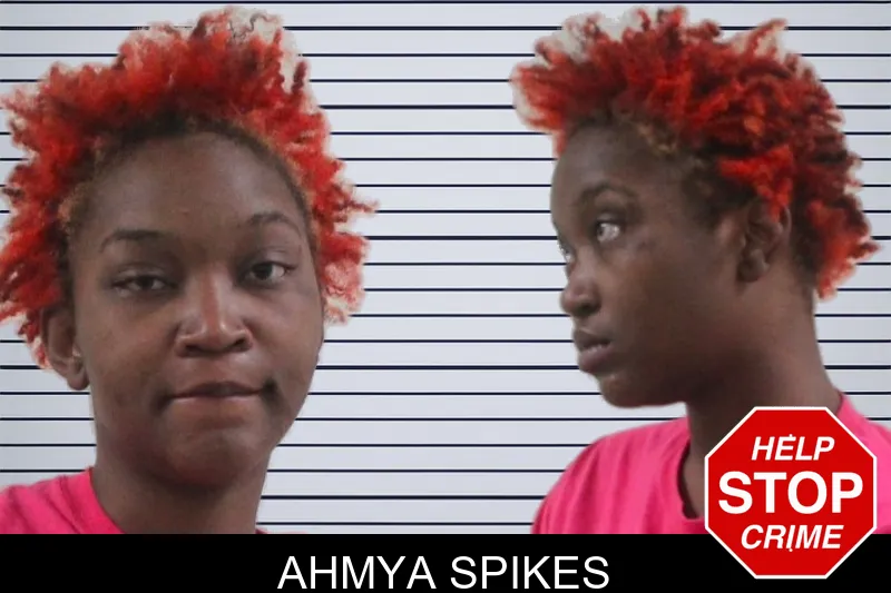Ahmya Spikes mugshot – Houston County , Georgia Ahmya Spikes mugshot