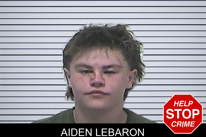 Aiden Lebaron mugshot – Dawson County , Georgia Aiden Lebaron mugshot