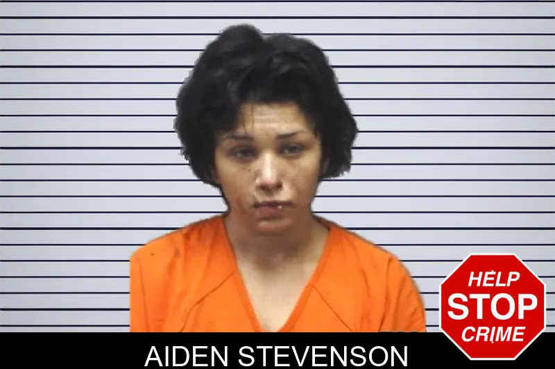 Aiden Stevenson mugshot – Cherokee County , Georgia Aiden Stevenson mugshot