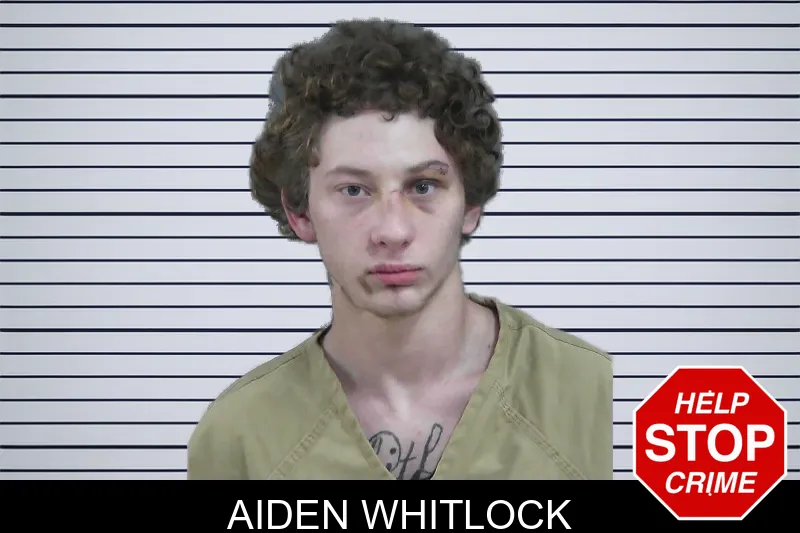 Aiden Whitlock mugshot