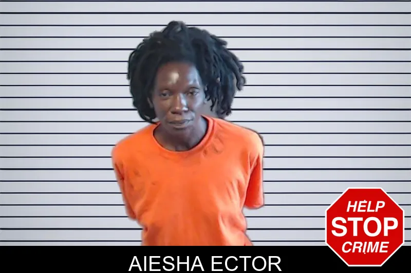 Aiesha Ector mugshot – DeKalb County , Georgia Aiesha Ector mugshot