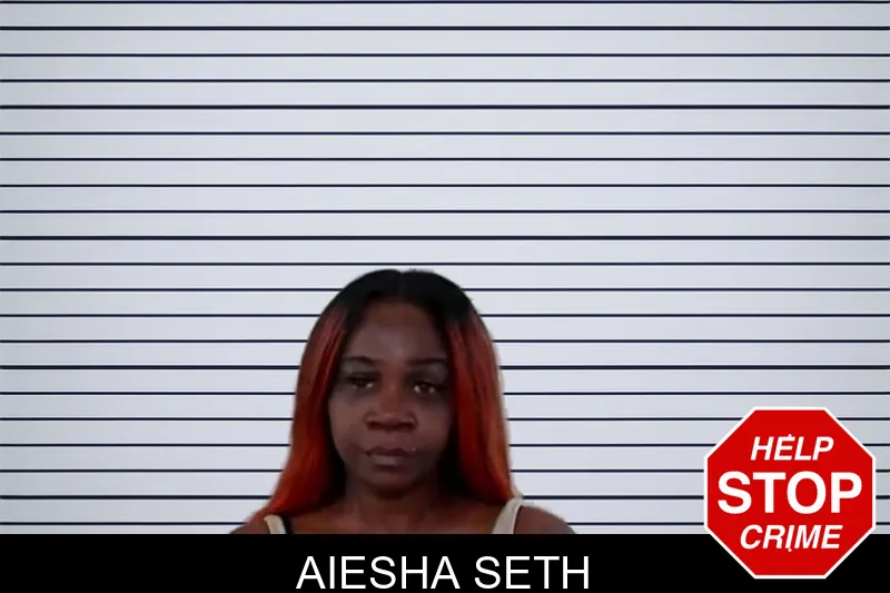 Aiesha Seth mugshot