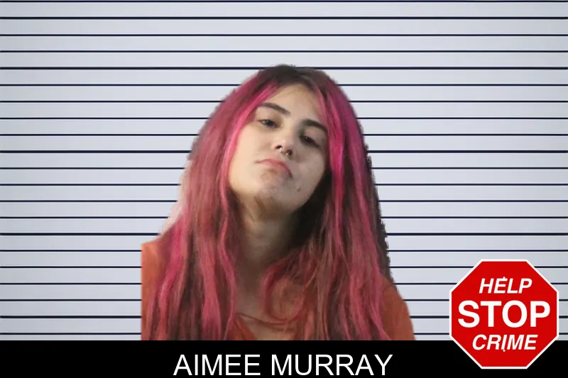 Aimee Murray mugshot – Lumpkin County , Georgia Aimee Murray mugshot