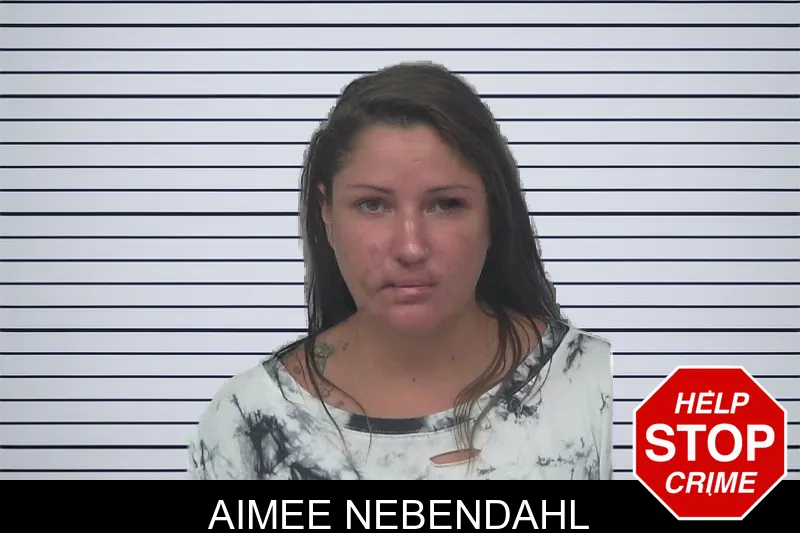 Aimee Nebendahl mugshot – Gwinnett County , Georgia Aimee Nebendahl mugshot