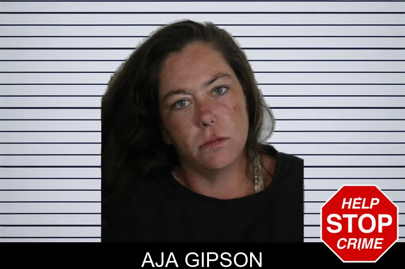 Aja Gipson mugshot – Floyd County , Georgia Aja Gipson mugshot