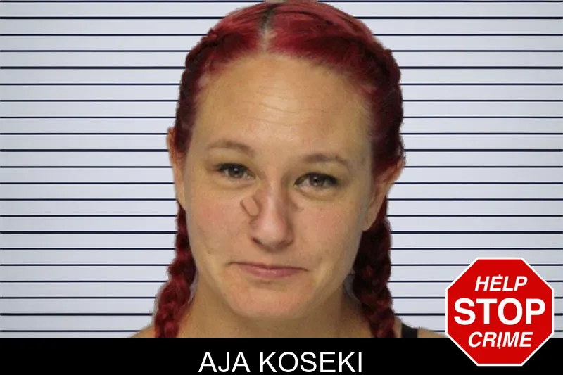 Aja Koseki mugshot