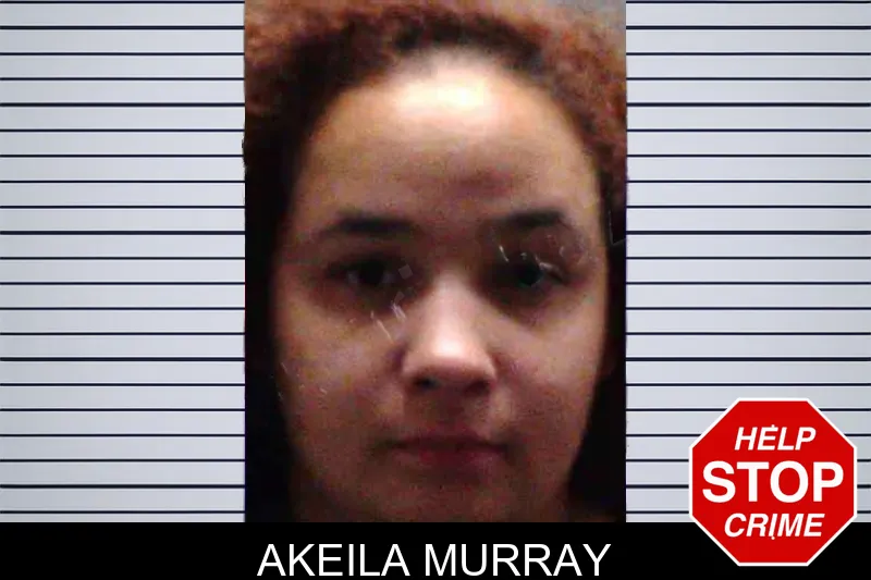 Akeila Murray mugshot – Burke County , Georgia Akeila Murray mugshot