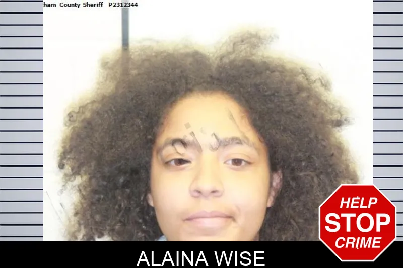 Alaina Wise mugshot – Chatham County , Georgia Alaina Wise mugshot