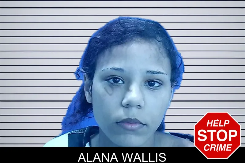 Alana Wallis mugshot – Troup County , Georgia Alana Wallis mugshot
