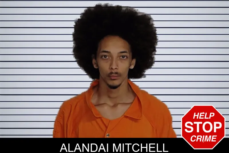 Alandai Mitchell mugshot – Rockdale County , Georgia Alandai Mitchell mugshot